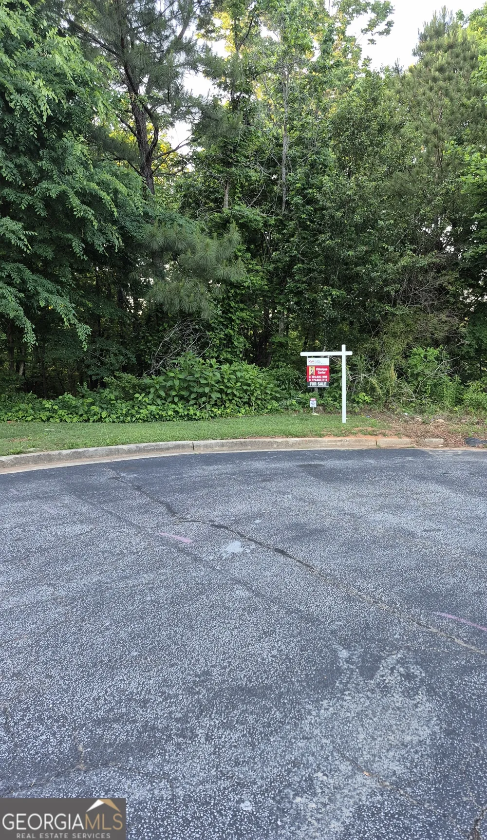 3163 Brighton PASS Conyers, GA 30094