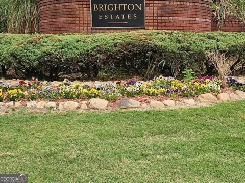 3163 Brighton PASS