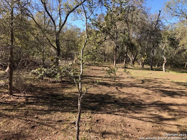 0 Single Oak Road Seguin, TX 78155