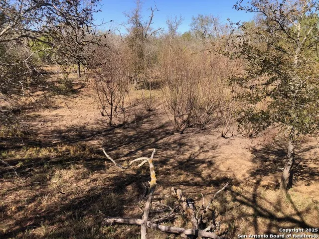 0 Single Oak Road Seguin, TX 78155