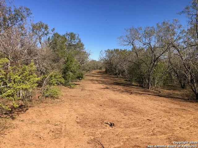0 Single Oak Road Seguin, TX 78155