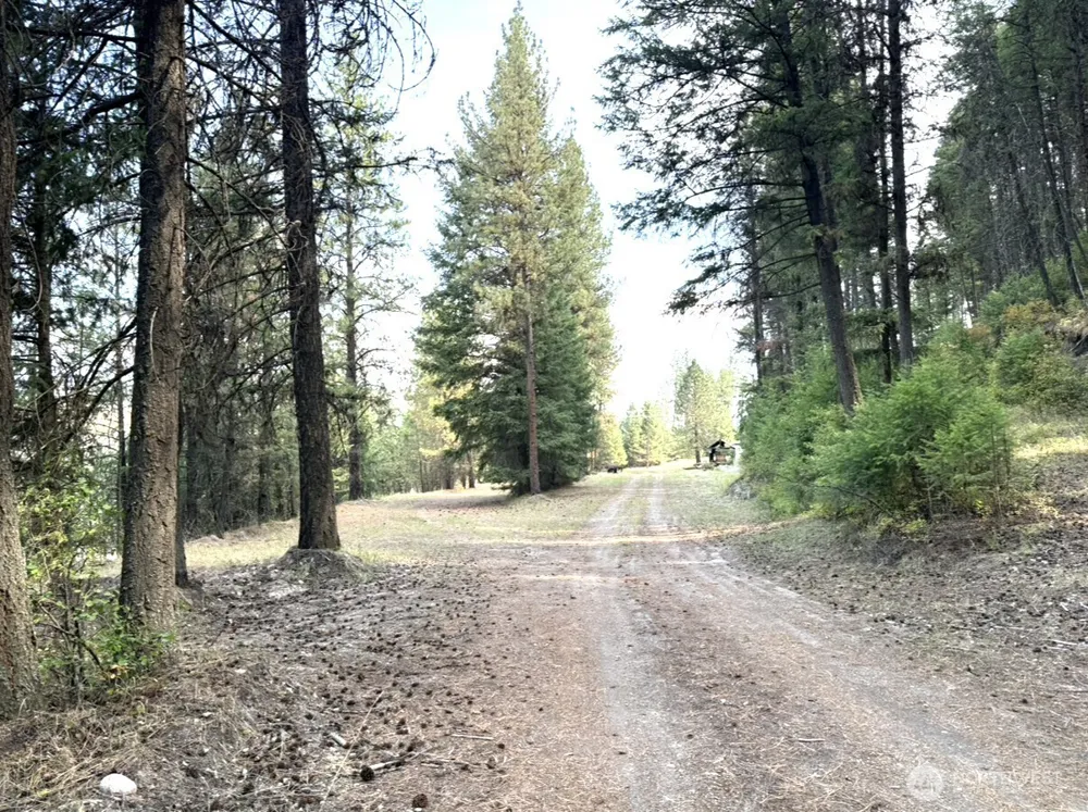 30543 Hwy 20 E Republic, WA 99166