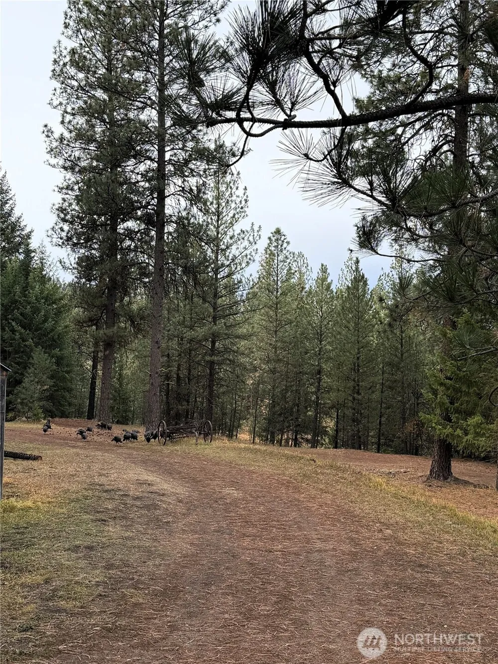 30543 Hwy 20 E Republic, WA 99166