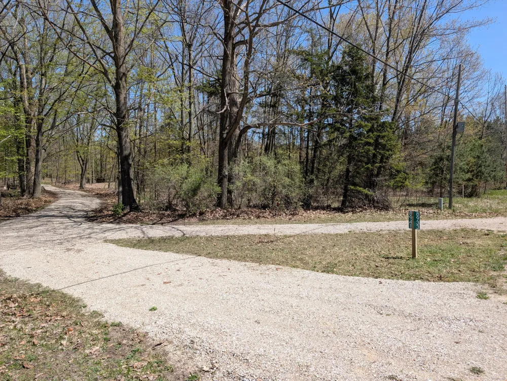 8933 S East Torch Lake Drive Alden, MI 49612
