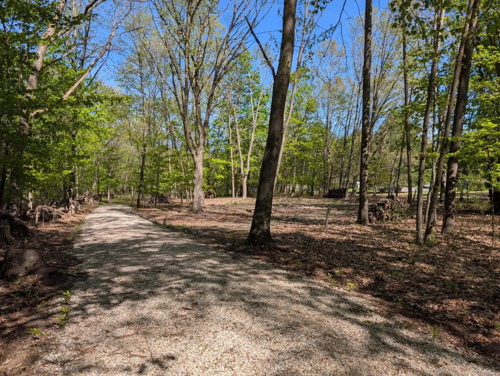 8933 S East Torch Lake Drive Alden, MI 49612
