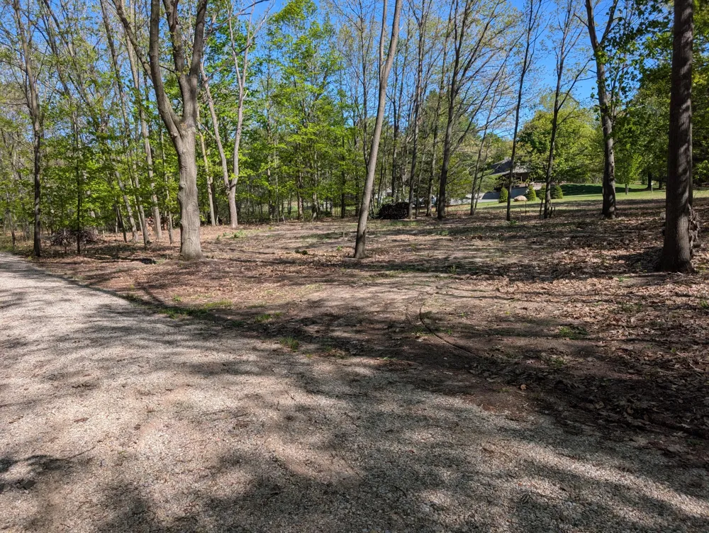 8933 S East Torch Lake Drive Alden, MI 49612