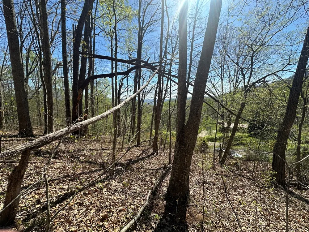 FOREST ROSE LN Sylva, NC 28779