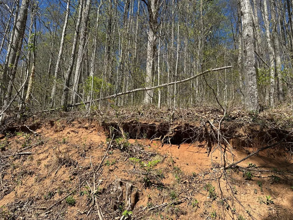 FOREST ROSE LN Sylva, NC 28779