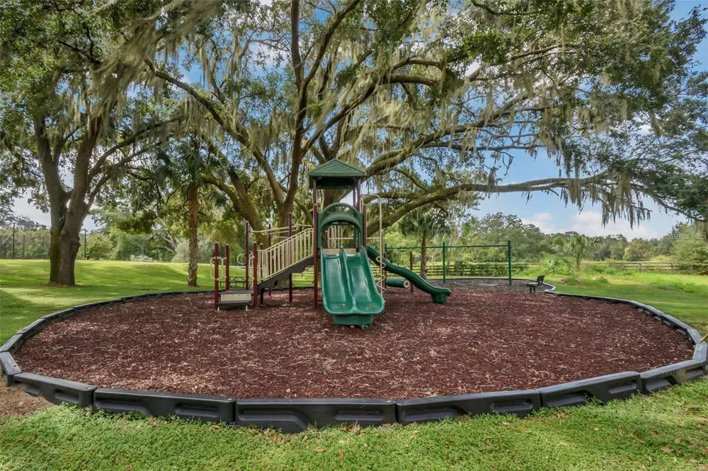 24215 WELDON DRIVE Eustis, FL 32736