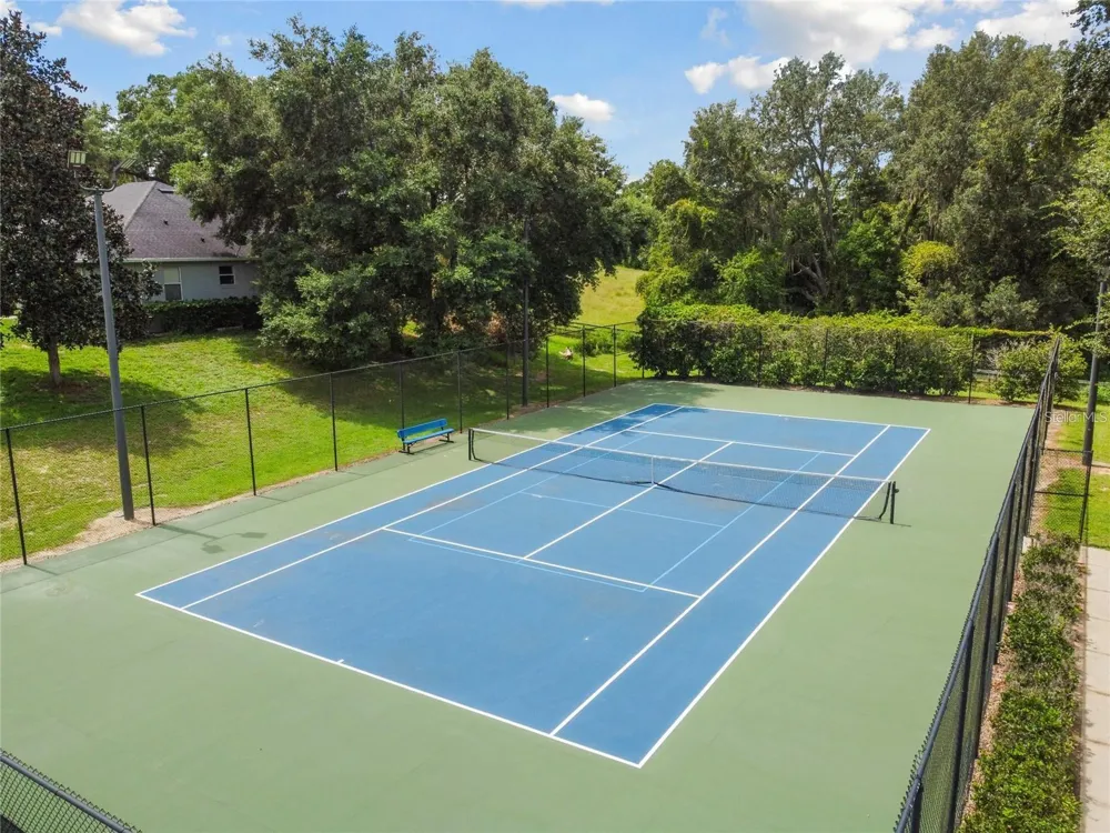 24215 WELDON DRIVE Eustis, FL 32736