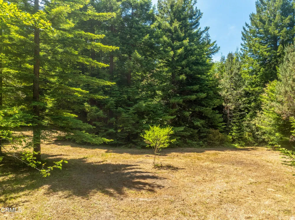 15620 Shane Drive Fort Bragg, CA 95437