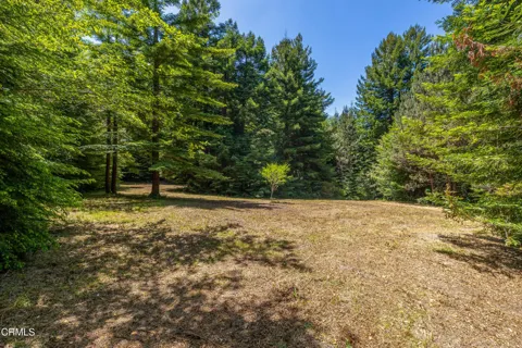15620 Shane Drive