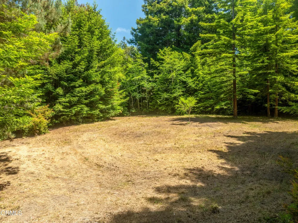 15620 Shane Drive Fort Bragg, CA 95437