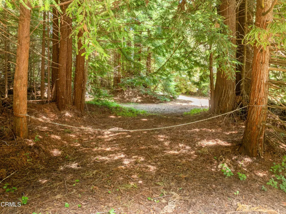 15620 Shane Drive Fort Bragg, CA 95437