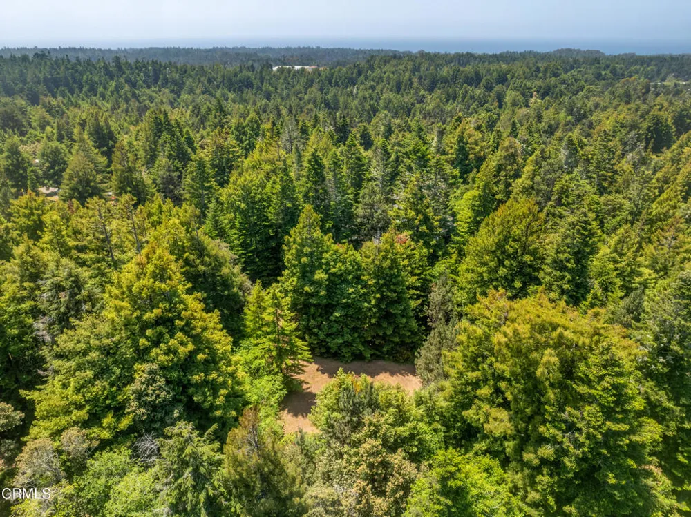 15620 Shane Drive Fort Bragg, CA 95437