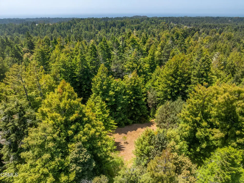 15620 Shane Drive Fort Bragg, CA 95437