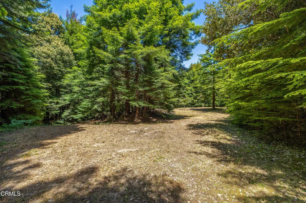 15620 Shane Drive Fort Bragg, CA 95437
