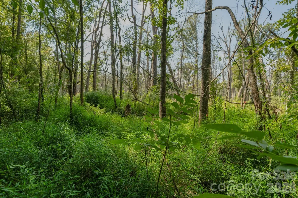 00 Stonehenge Court Waxhaw, NC 28173