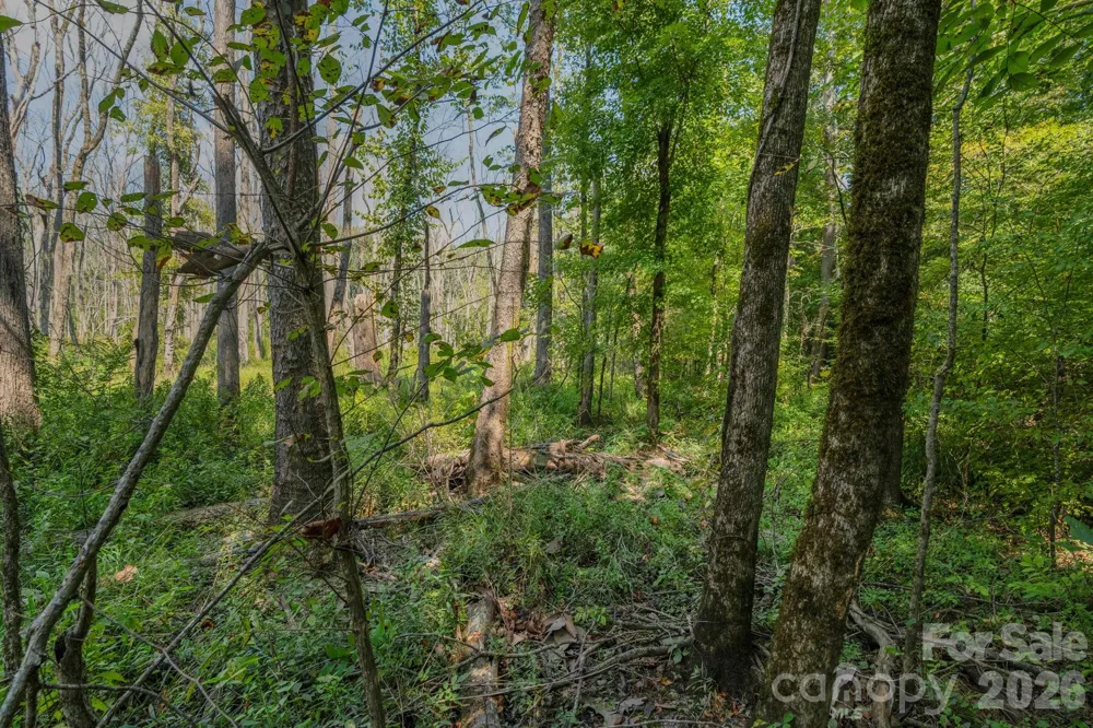 00 Stonehenge Court Waxhaw, NC 28173