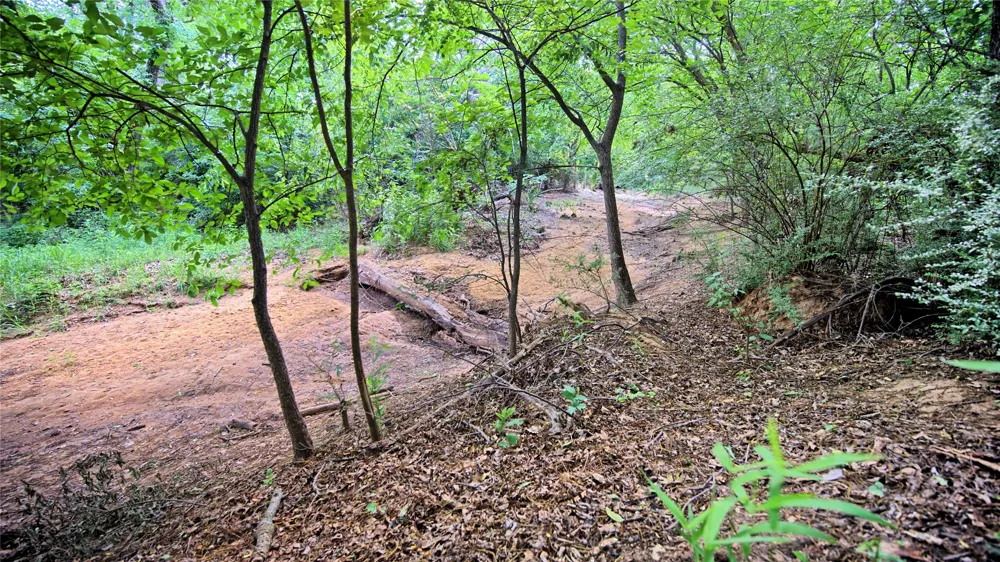140 Elm Road Nocona, TX 76255