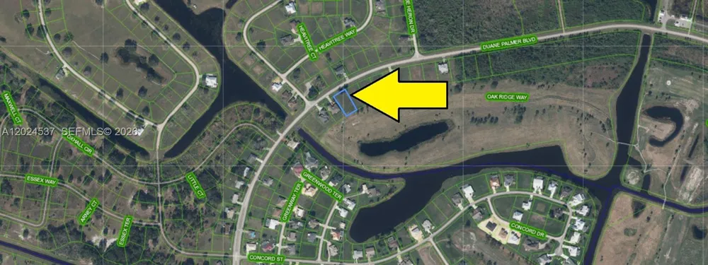 1613 Duane Palmer Sebring, FL 33876