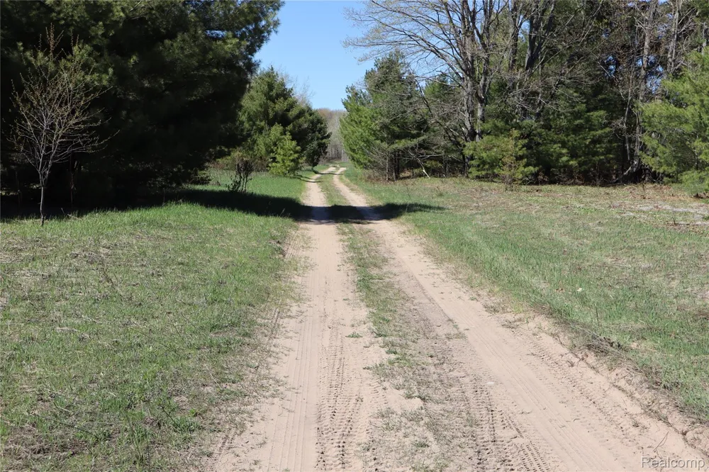 5575 E 26 Mile Road Pickford Township, MI 49774