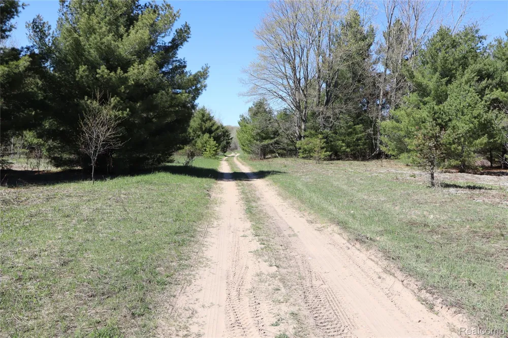 5575 E 26 Mile Road Pickford Township, MI 49774
