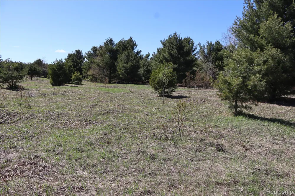 5575 E 26 Mile Road Pickford Township, MI 49774