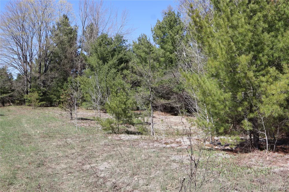 5575 E 26 Mile Road Pickford Township, MI 49774