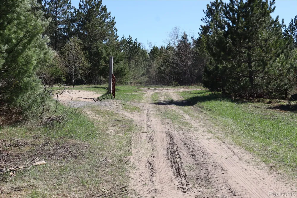 5575 E 26 Mile Road Pickford Township, MI 49774
