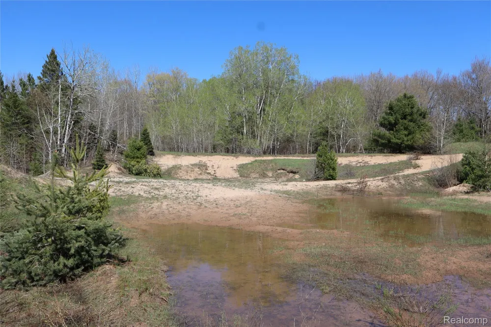 5575 E 26 Mile Road Pickford Township, MI 49774