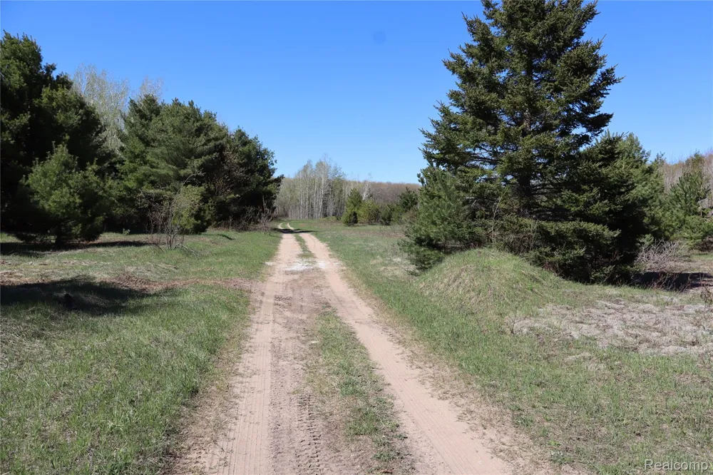 5575 E 26 Mile Road Pickford Township, MI 49774