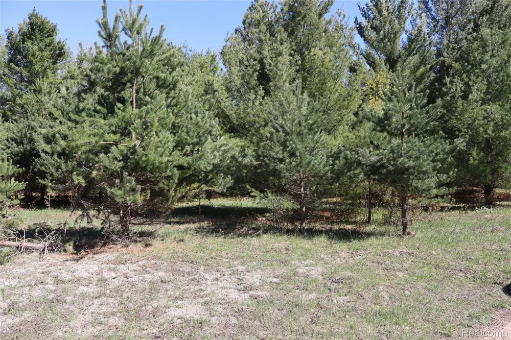 5575 E 26 Mile Road Pickford Township, MI 49774