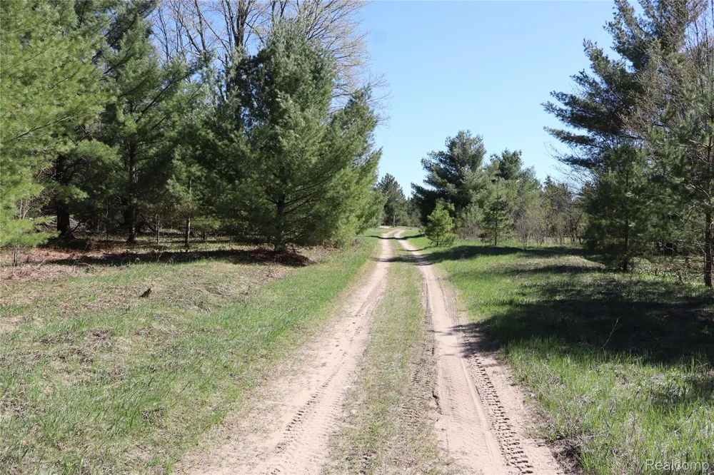 5575 E 26 Mile Road Pickford Township, MI 49774