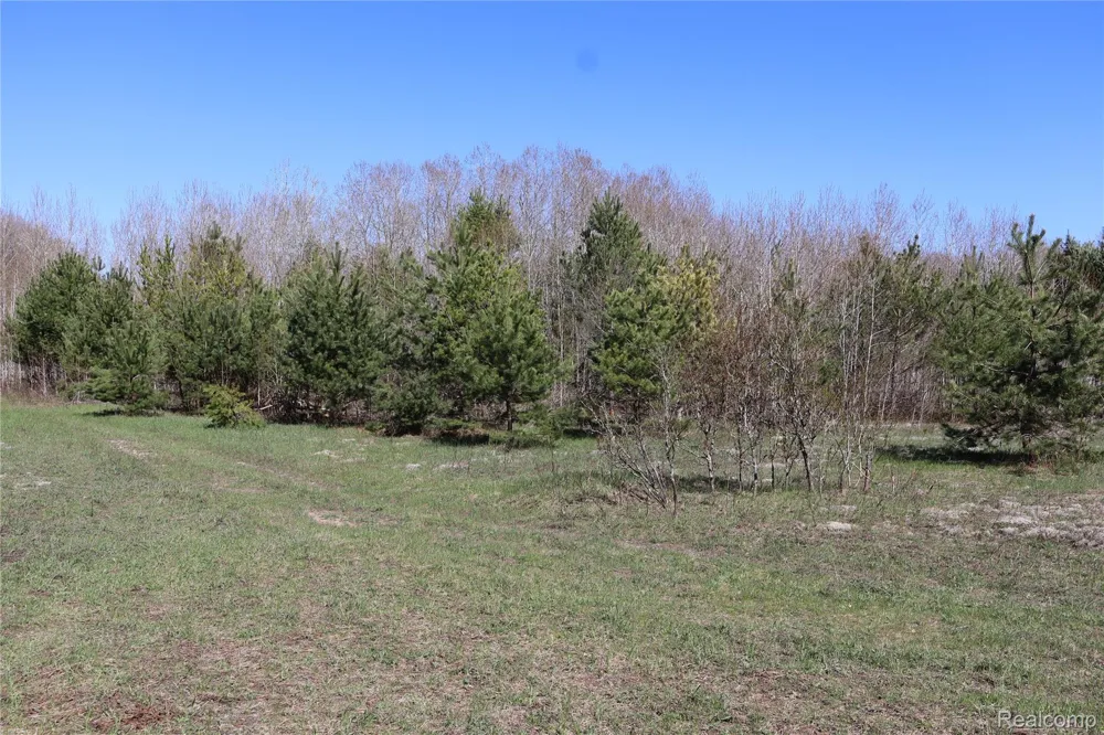 5575 E 26 Mile Road Pickford Township, MI 49774