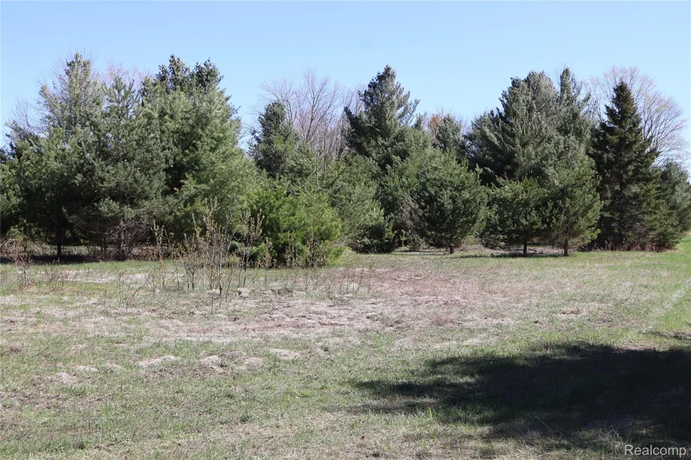 5575 E 26 Mile Road Pickford Township, MI 49774