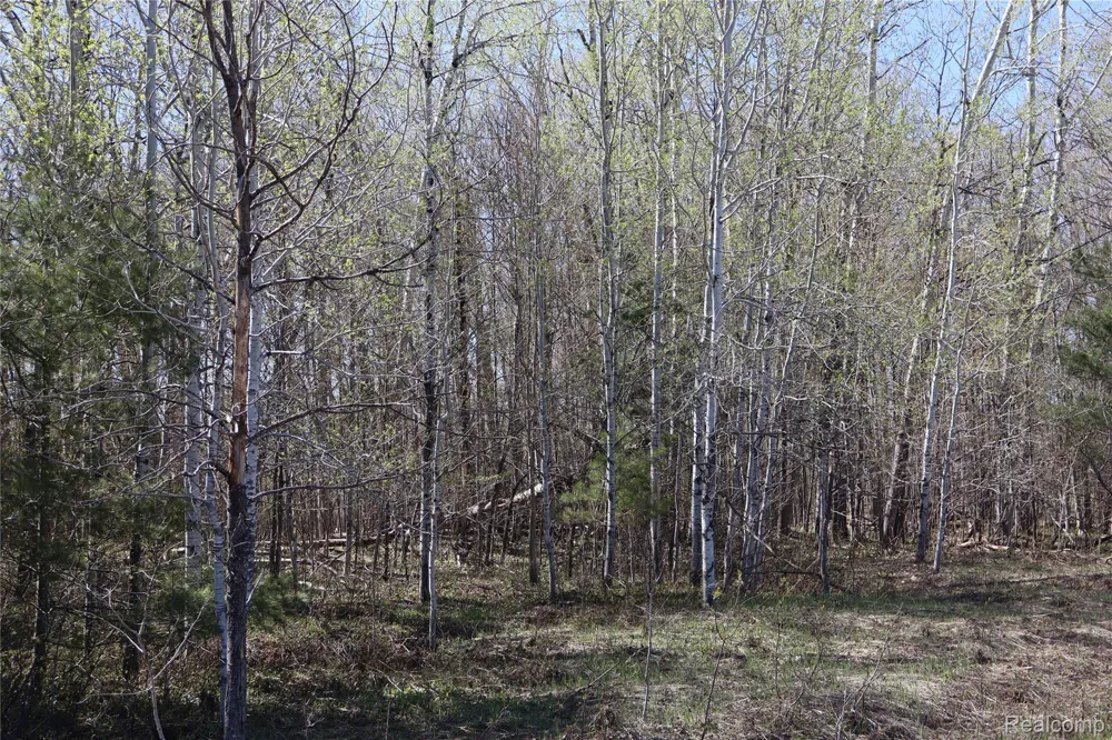 5575 E 26 Mile Road Pickford Township, MI 49774