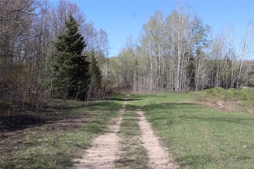 5575 E 26 Mile Road Pickford Township, MI 49774