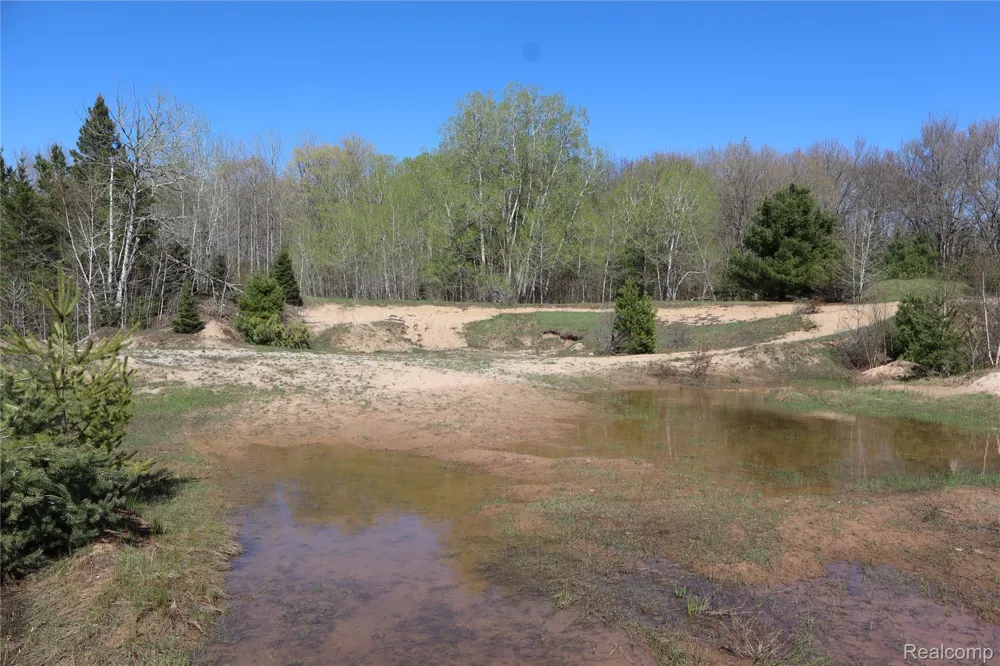 5575 E 26 Mile Road Pickford Township, MI 49774