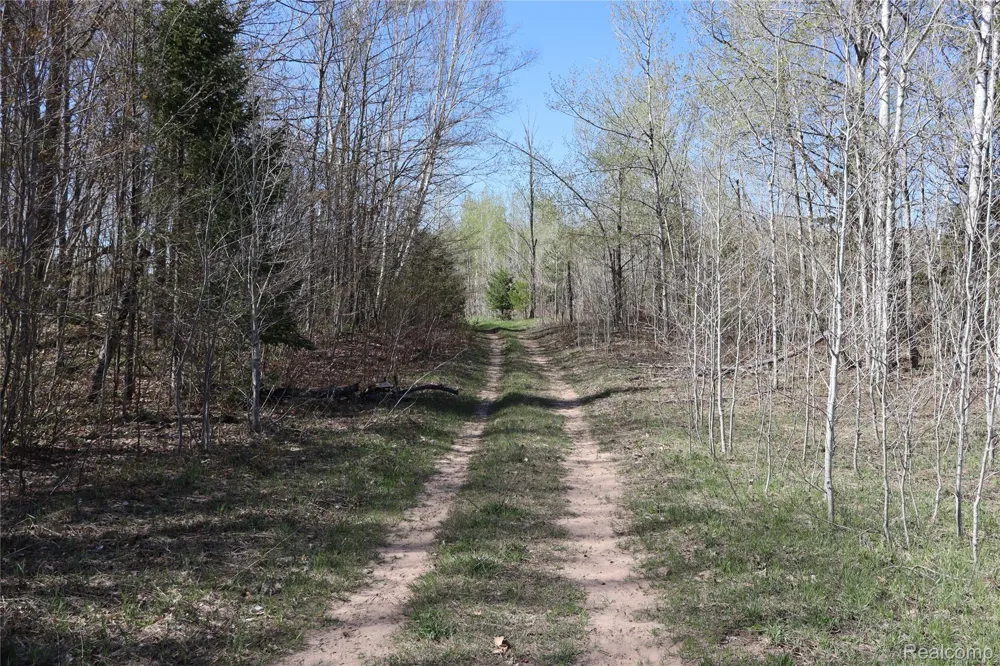 5575 E 26 Mile Road Pickford Township, MI 49774