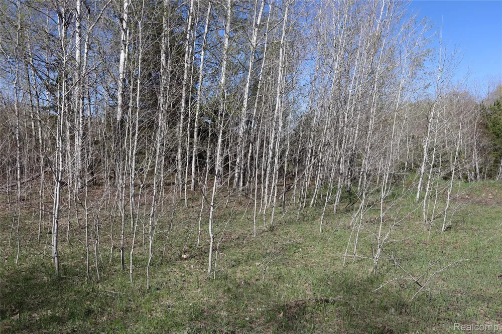 5575 E 26 Mile Road Pickford Township, MI 49774