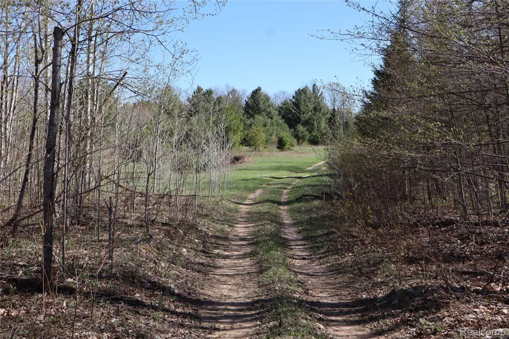 5575 E 26 Mile Road Pickford Township, MI 49774
