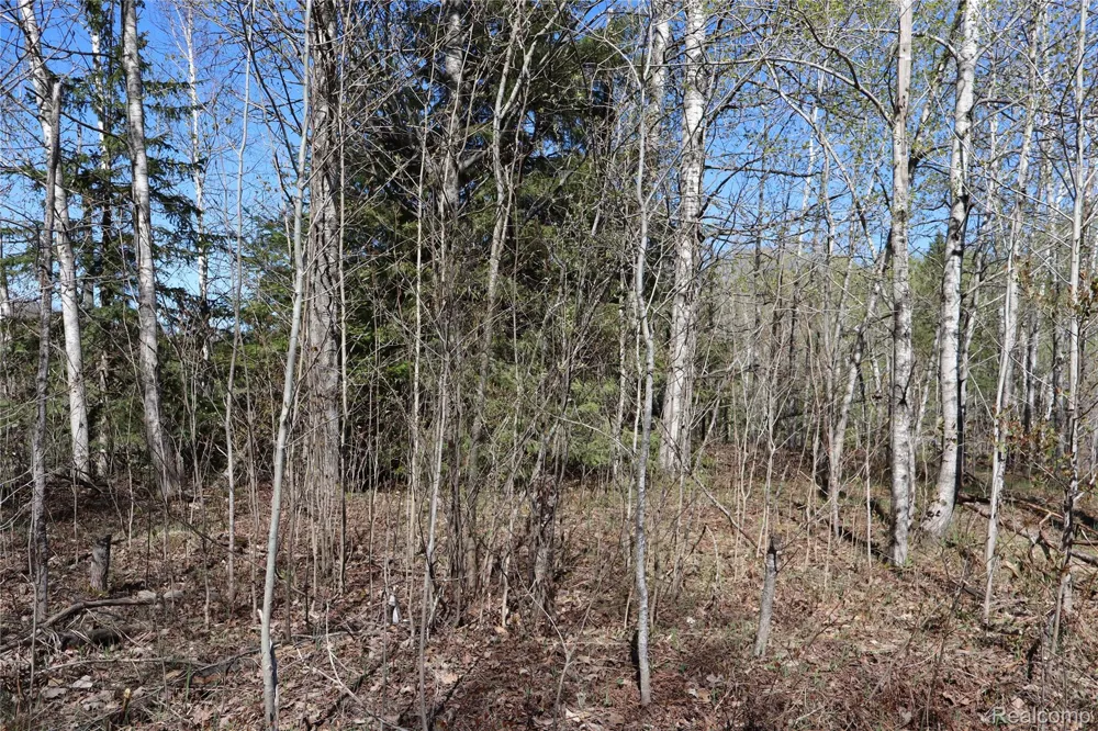 5575 E 26 Mile Road Pickford Township, MI 49774