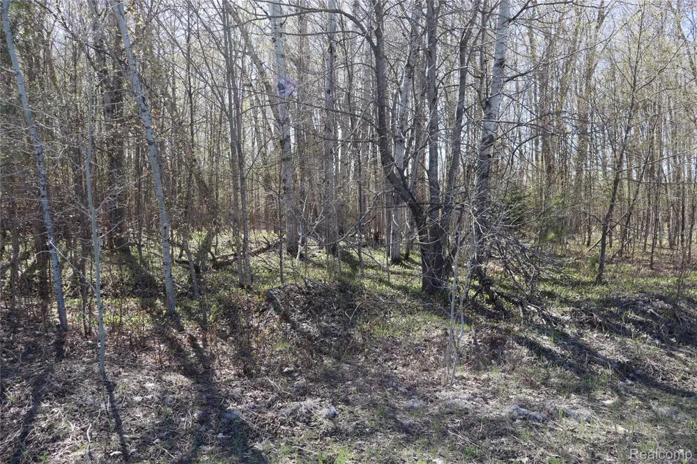 5575 E 26 Mile Road Pickford Township, MI 49774