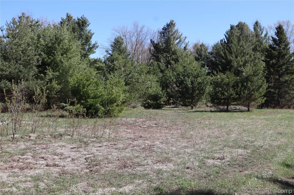 5575 E 26 Mile Road Pickford Township, MI 49774