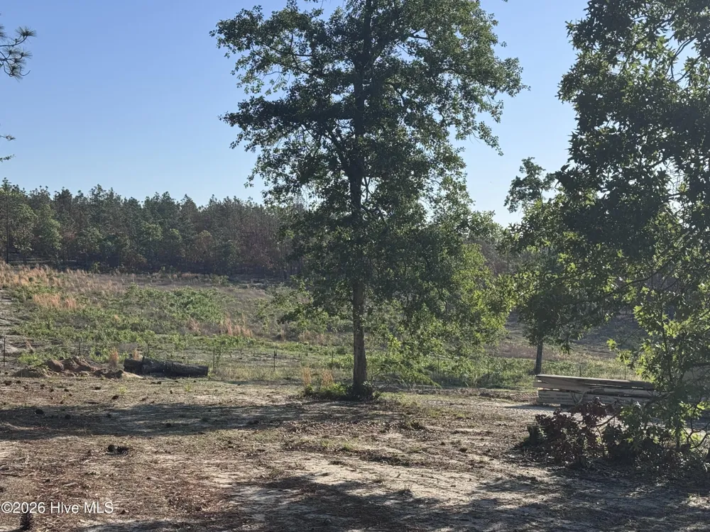 4441 Etterle Road Blythe, GA 30805