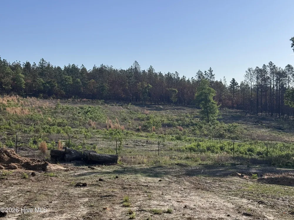 4441 Etterle Road Blythe, GA 30805