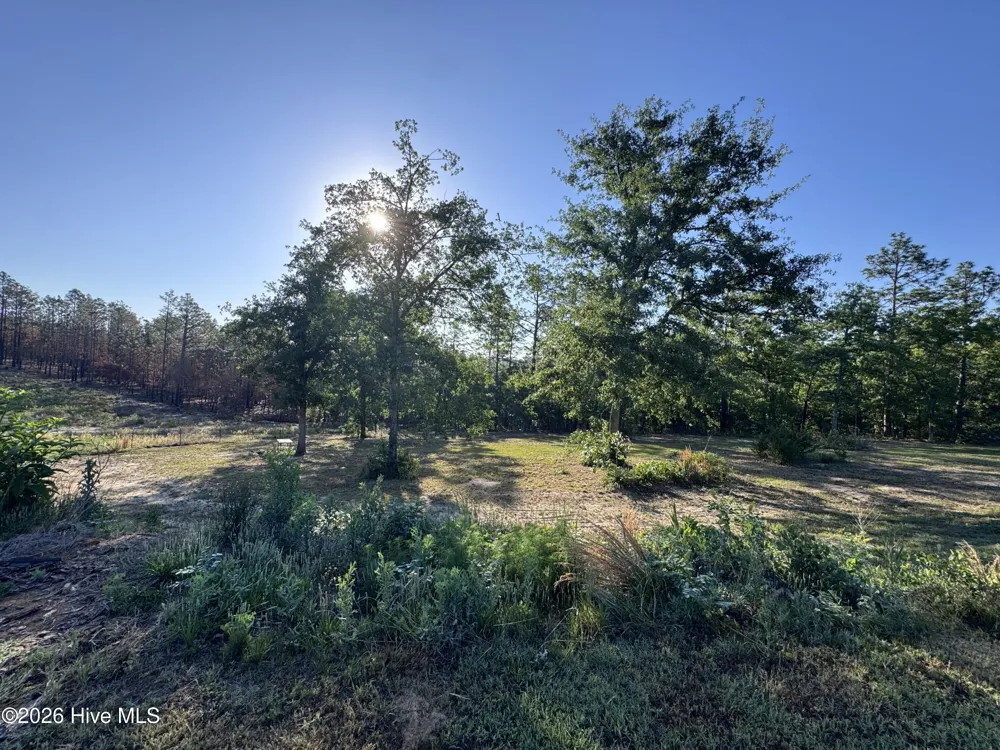 4441 Etterle Road Blythe, GA 30805