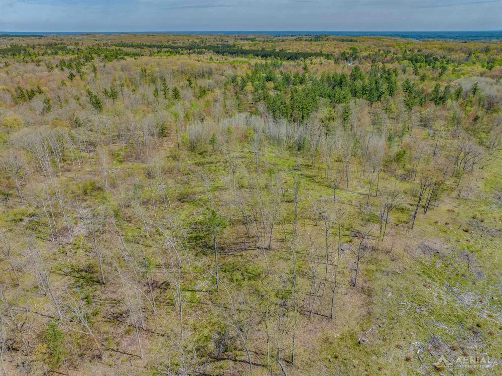 Clear Lake Road Klacking Township, MI 48661