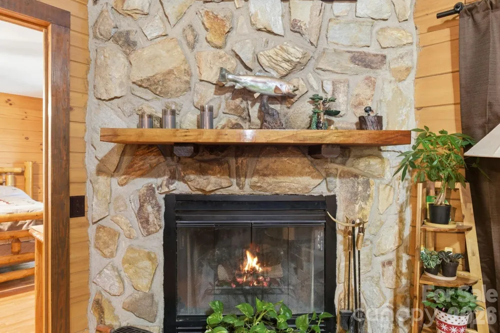 152 Rivercliff Drive Stony Point, NC 28678